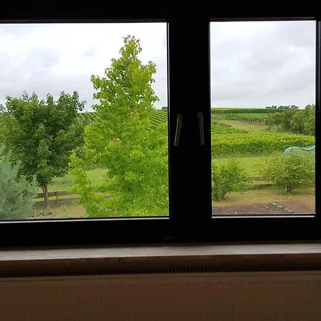 Haus Rebenblick * Dierbach