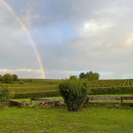 Apartament Haus Rebenblick *