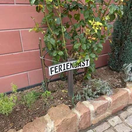 Haus Rebenblick * Dierbach