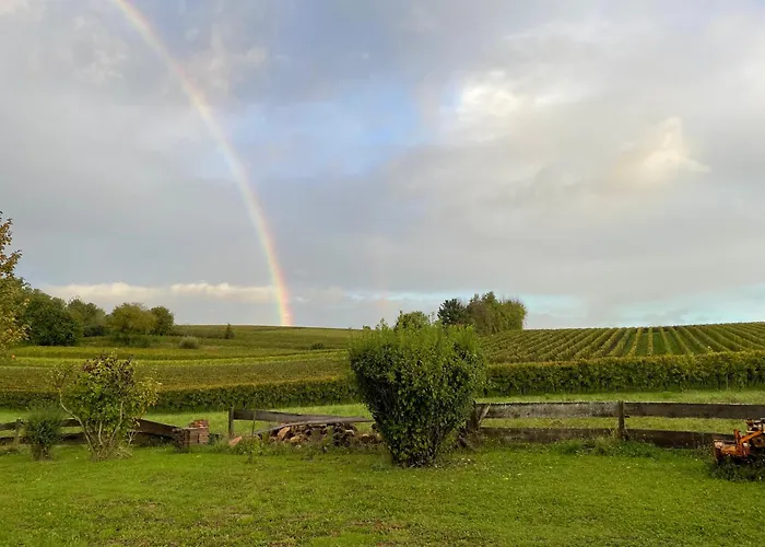 Apartamento Haus Rebenblick *